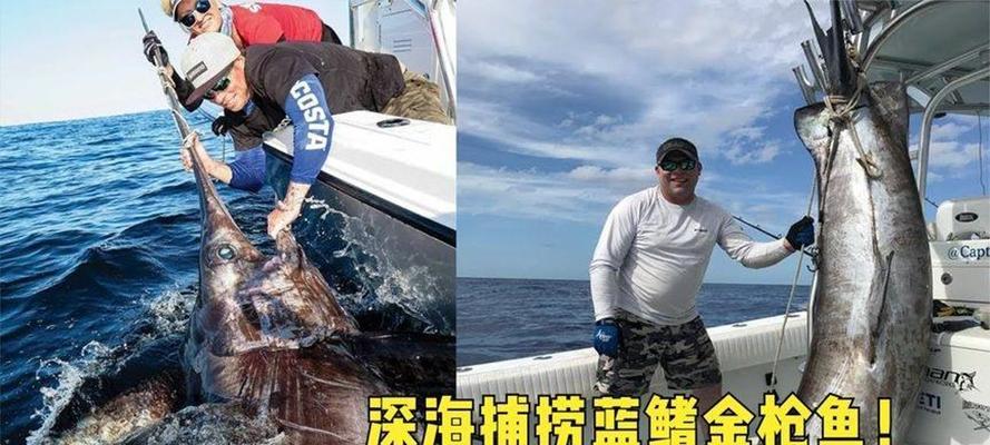 钓鱼蓝鳍金枪鱼收线技巧（提升钓鱼技巧，轻松收线）