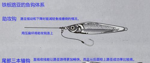 钓鱼老手的遛鱼技巧（揭秘只有老手才懂的15个遛鱼绝招）