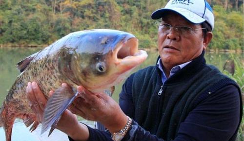冬钓打窝技巧大揭秘（钓鱼老手教你如何成为冬季钓鱼高手）
