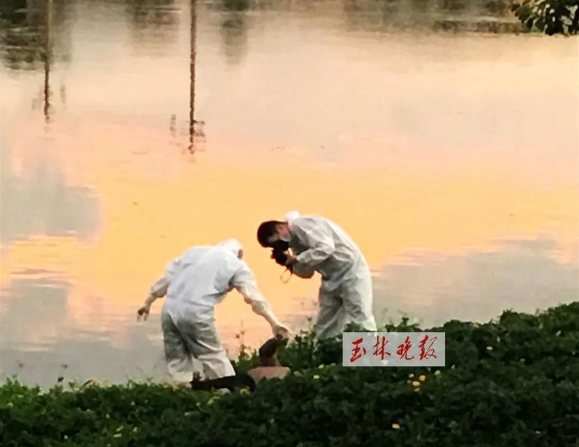 钓鱼溺水自救技巧（如何安全自救，防范钓鱼溺水事故）