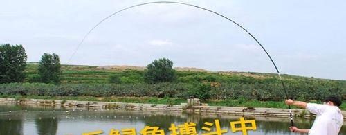 钓鱼技巧大揭秘（掌握技巧，钓鱼更得心应手）