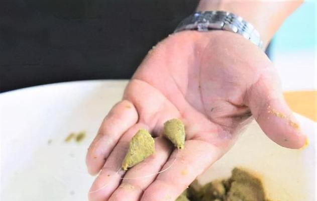 钓鱼抢窝子技巧大揭秘（掌握窍门成为抢窝高手）