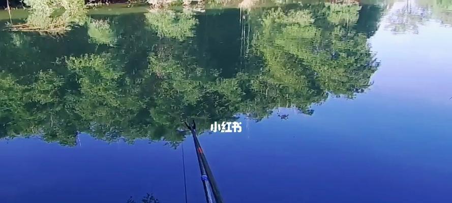 钓鱼切线技巧口诀，轻松掌握（简单易学，快速成为钓鱼高手）