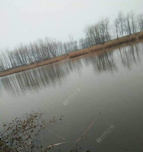 钓鱼技巧之钓点搭配必备（钓鱼达人分享的经验与技巧，助你成为钓鱼人）