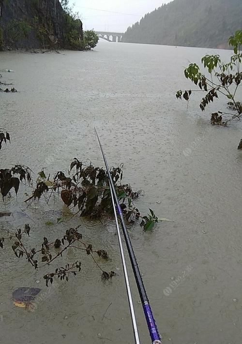 钓鱼技巧之附近钓鱼场选择与搭配（掌握必备技巧，享受优质钓鱼体验）