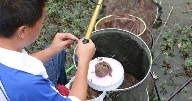 钓鱼技巧大揭秘（掌握成功钓鱼的关键技巧）