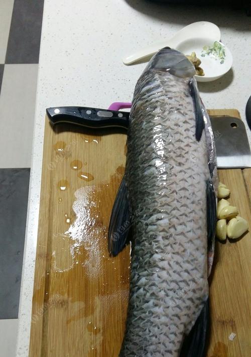 青鱼钓鱼饵料搭配技巧（提升钓鱼效果，掌握正确的饵料搭配技巧）