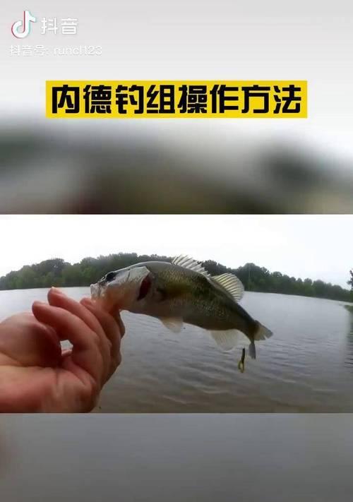 钓鱼新手必看的技巧（快速提升钓鱼水平的关键技巧）