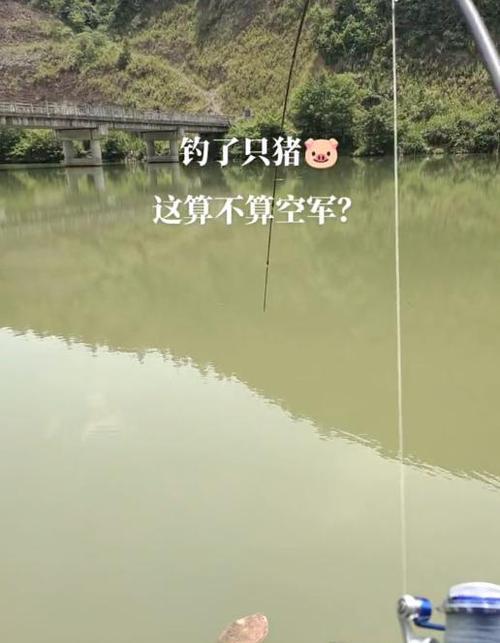 钓鱼新手技巧小结（掌握钓鱼基础技巧，快速入门）