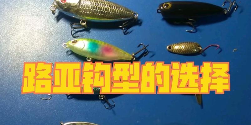 钓鱼新手进阶技巧（掌握关键技巧，提升钓鱼技能）