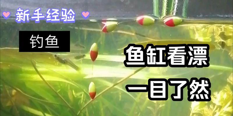钓鱼新手看漂技巧（掌握漂技巧，成为钓鱼高手）