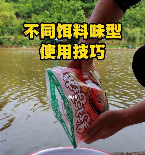 钓鱼新手的快速技巧掌握（从零基础到钓鱼高手的必备指南）