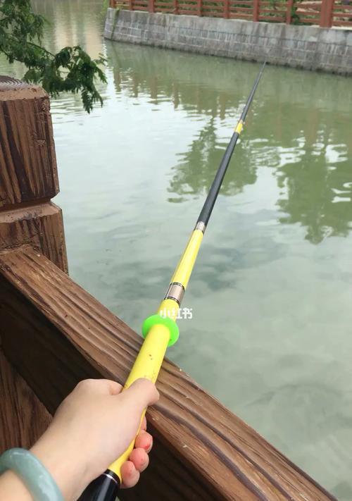钓鱼新手的技巧提升之道（教你成为钓鱼高手）