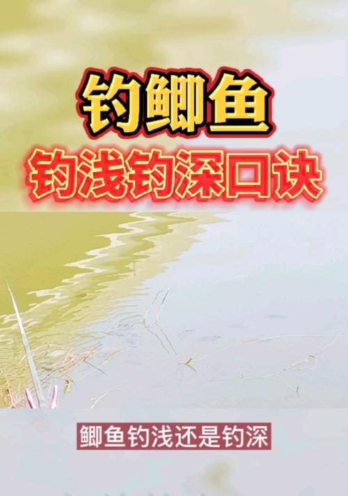 钓鱼选位技巧口诀（提高钓鱼成功率的关键要素）