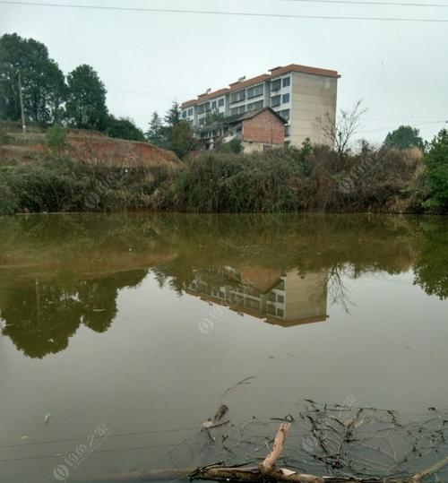 钓鱼选位水深技巧（掌握水深技巧，成为高级钓鱼者）