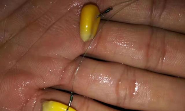 钓鱼技巧（提升钓鱼成功率的关键技巧与经验分享）
