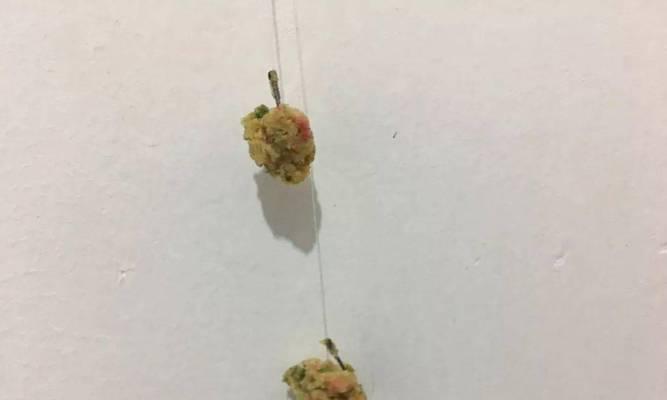 选择正确大小的钓鱼钩技巧（不同鱼类适宜的钓鱼钩尺寸选择）