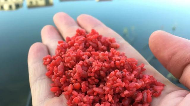 钓鱼用棺材打窝技巧与方法（深入探讨钓鱼棺材窝的制作和运用）