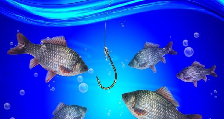 海竿钓鱼用蚯蚓技巧（提高钓鱼成功率的实用技巧）