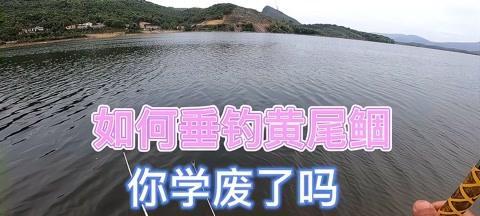 蚯蚓调漂技巧（掌握关键技巧，提升钓鱼收获！）