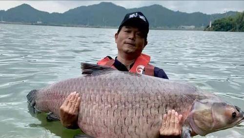 钓大鱼的技巧（掌握钓鱼技巧，迎接大鱼的挑战）