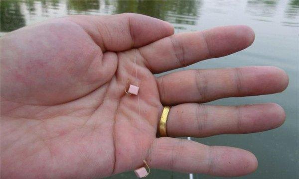 钓鱼鱼钩使用技巧（提高钓鱼成功率的关键）