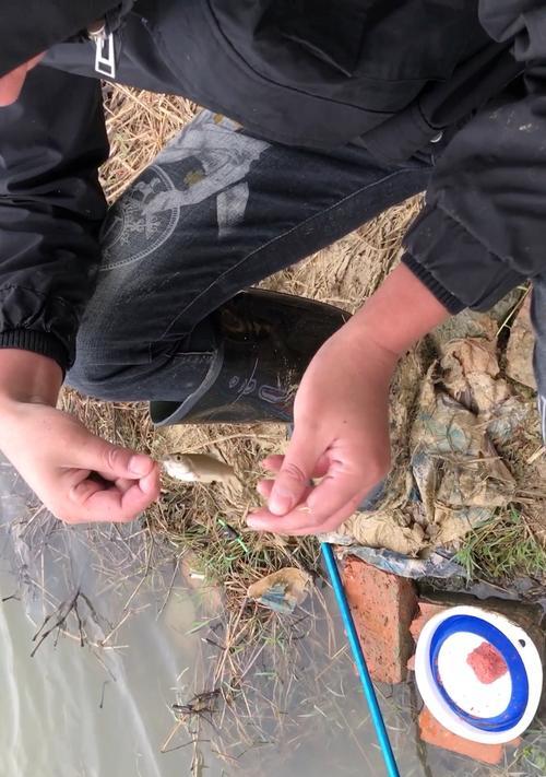 雨天钓鱼技巧大揭秘（掌握这些技巧，让你雨天也能丰收满篓）