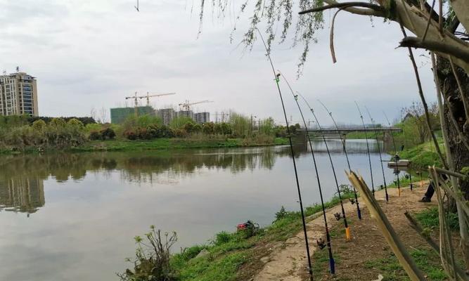 冬季串钩钓鱼技巧与钓位选择（冬季钓鱼技巧分享）