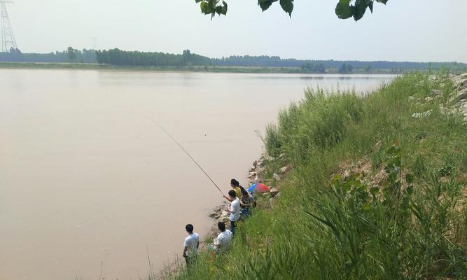 冬季大太阳钓鱼技巧（轻松应对寒冷季节的渔获）