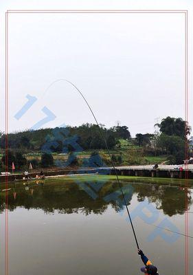 冬季湖库大水域垂钓技巧（提高冬季湖库垂钓效果的关键）