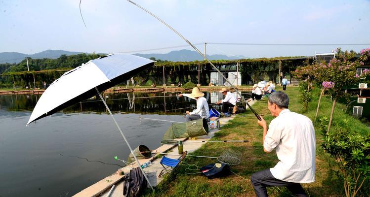 冬季混养塘钓鱼的技巧（冬季混养塘钓鱼的策略与经验分享）
