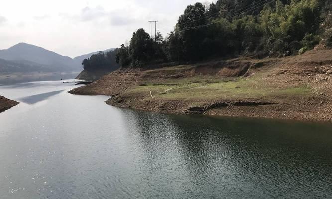 冬季上海水库钓鱼技巧（冬季水库钓鱼攻略）