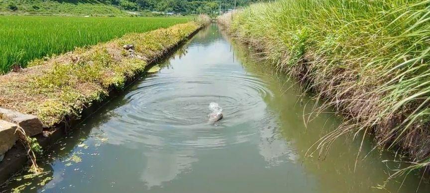 冬季深水渠钓鱼技巧（挑战寒冷）