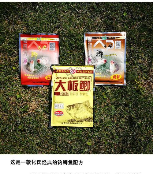 冬天钓鱼技巧（冬季钓鱼的鱼饵及使用技巧）