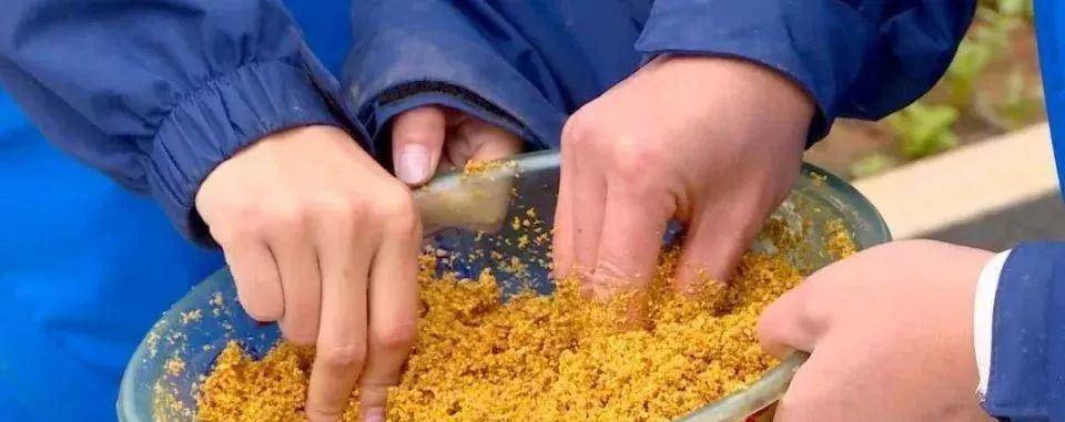 冬至钓鱼的技巧与方法（冬至钓鱼）