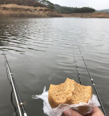 冬至后水库钓鱼技巧（提高钓鱼成功率的实用技巧）