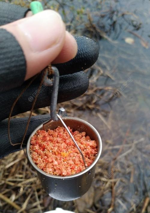 冬至前后北方野钓鲫鱼的技巧与方法（寒冷季节下的北方野钓）