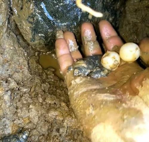 探秘洞中钓鱼的技巧（室内娱乐活动的新选择）