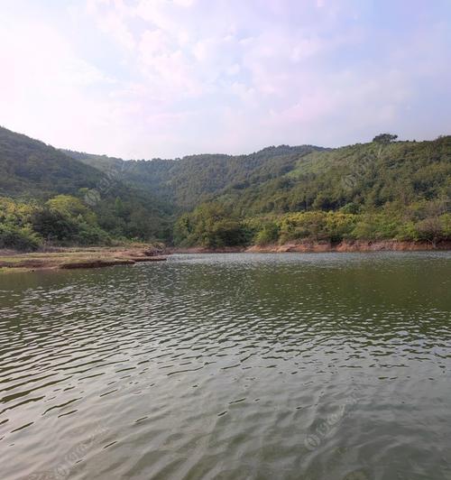 陡坡水库钓鱼技巧教程（掌握关键技巧轻松钓到丰收）
