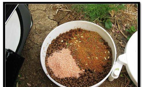 以豆腐渣钓鱼的技巧（揭秘豆腐渣钓鱼秘籍）
