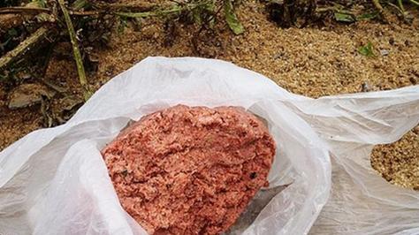 以豆渣做鱼饵的方法与技巧（用豆渣做鱼饵）