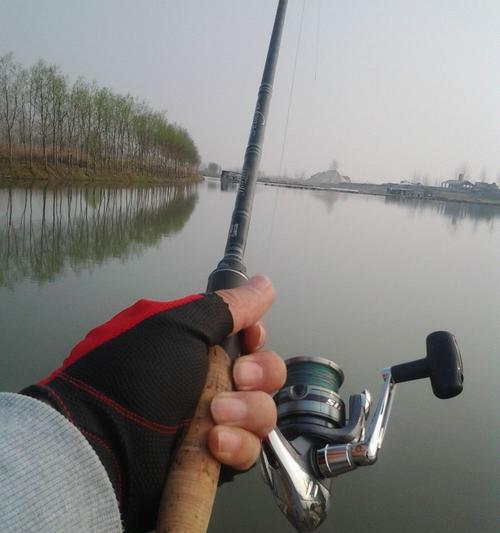 渡口钓鱼技巧大全（掌握关键技巧）