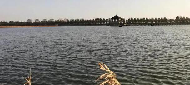 钓鱼专家分享端午水库钓鱼技巧（端午水库钓鱼）
