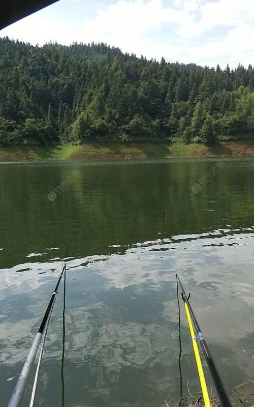 入门技巧（细水长流）