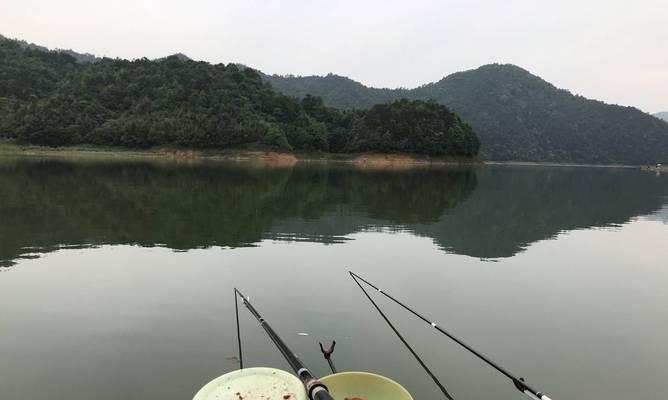短竿钓鱼的技巧与注意事项（掌握短竿钓鱼要诀）