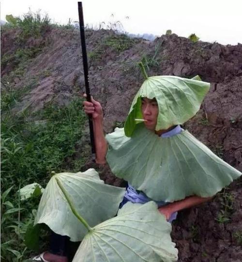 非洲自由潜水钓鱼技巧（探索海底世界）