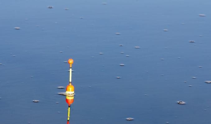 肥水垂钓技巧大揭秘（掌握肥水垂钓的关键技巧）