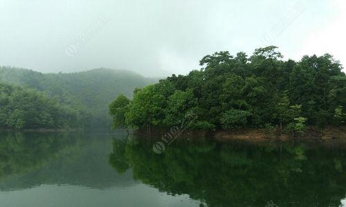 钓鱼绝密技巧揭秘（肥水塘中的钓鱼高招）