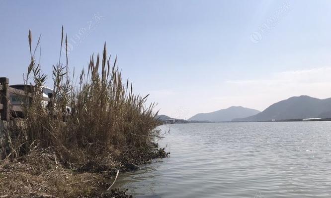 废弃野塘钓鱼技巧（利用废弃野塘捕获丰富的渔获）