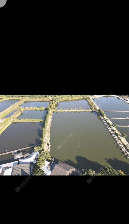 丰梅湖钓鱼技巧大揭秘（掌握这些技巧）